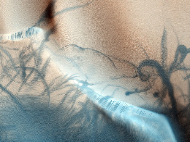 Кажется, что на этой фотографии изображена оригинальная татуировка, но на самом деле — это замысловатый и извилистый узор, созданный… пылью. На Марсе, как и на Земле, ветер часто сдувает верхние слои почвы, обнажая более глубокие.