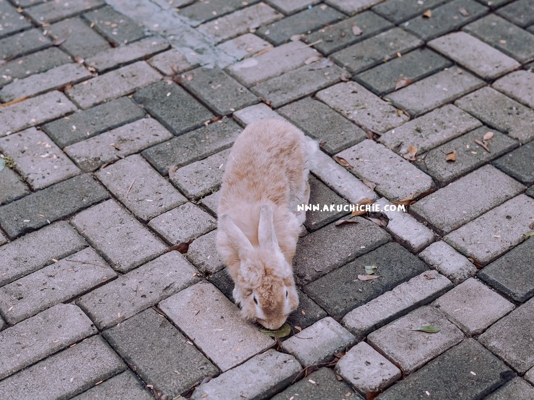 lifestyle blogger bermain ke scientia square park saat pandemi