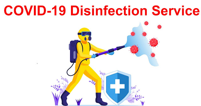 Pandemic With Pandemic-Domestic Violence In Coronavirus Covid-19