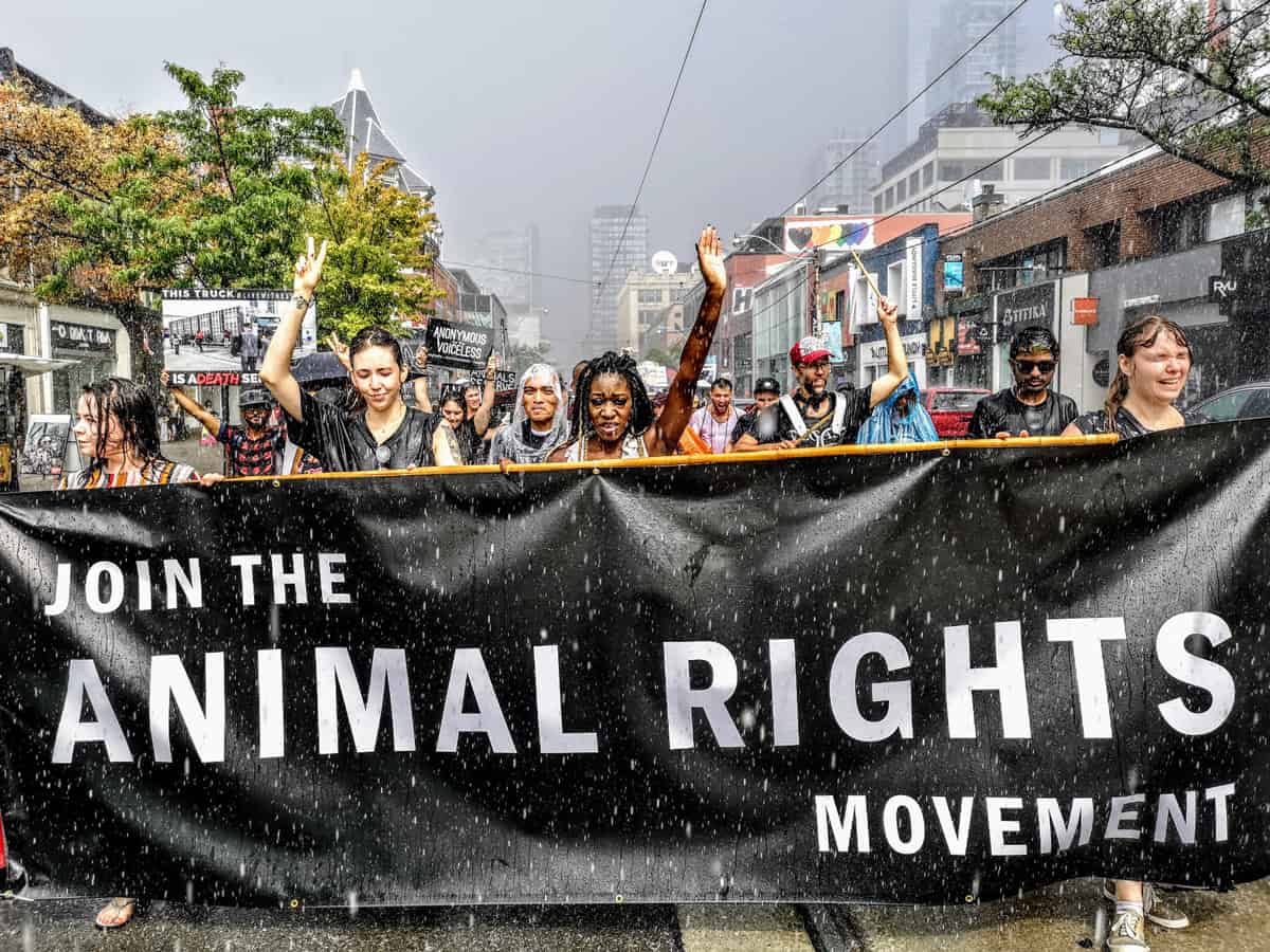 What is the Animal Rights Movement?