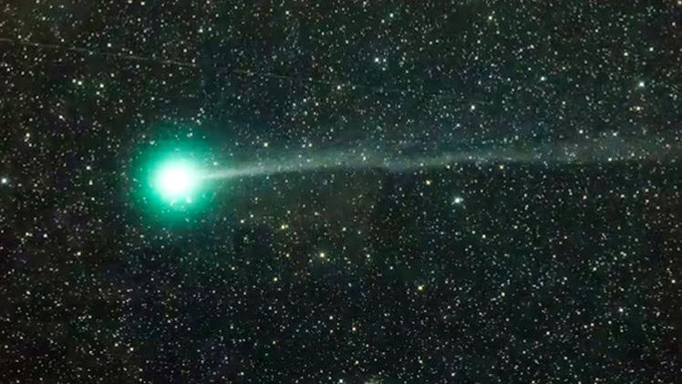 COMETA LOVEJOY