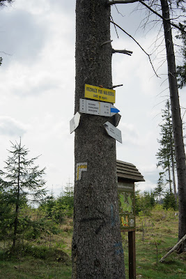 Rozdroże pod Waligórą - węzeł szlaków