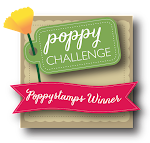 Poppystamps Challenge Winner