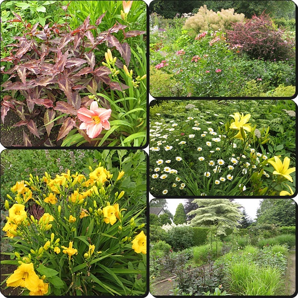Neues Vom Lindenhof Garten Verheggen Nl