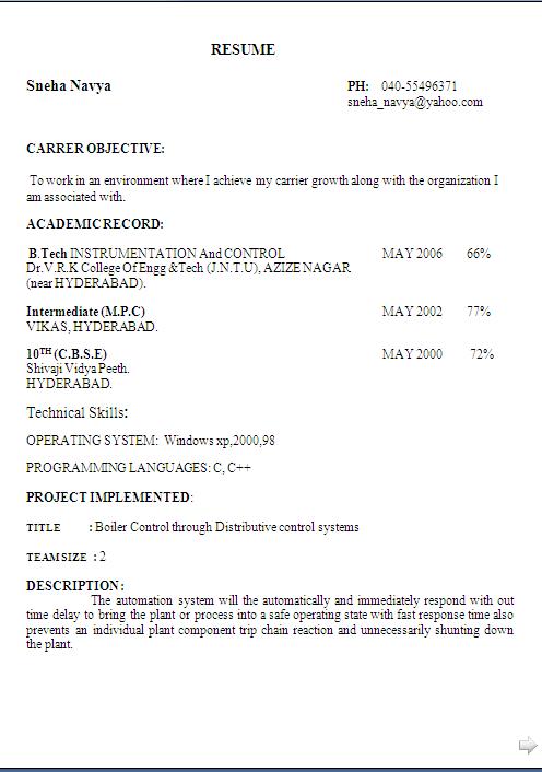 sample of professional cv