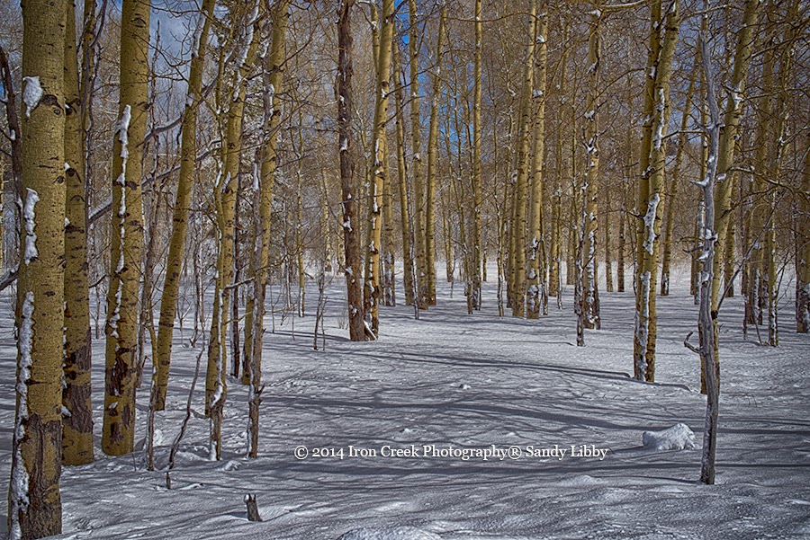 Iron Creek Photography® Jackson Hole Wyoming in March