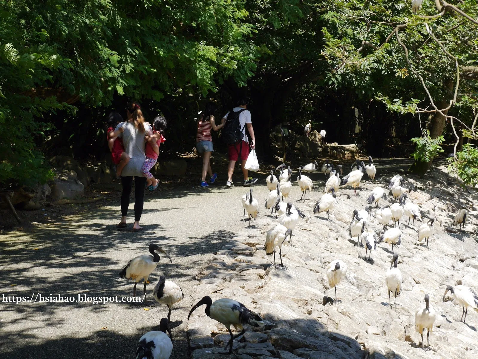 沖繩-景點-名護-名護自然動植物公園-neopark-ネオパークオキナワ-推薦-親子-自由行-旅遊-Okinawa-Nago