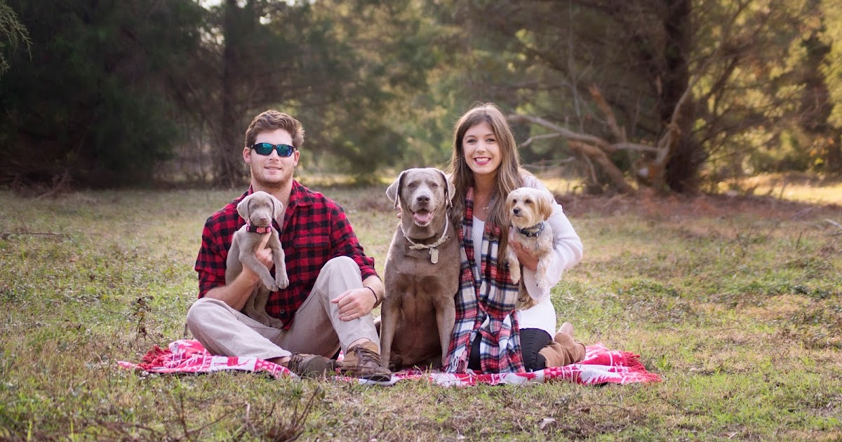 A Furry Charleston Christmas