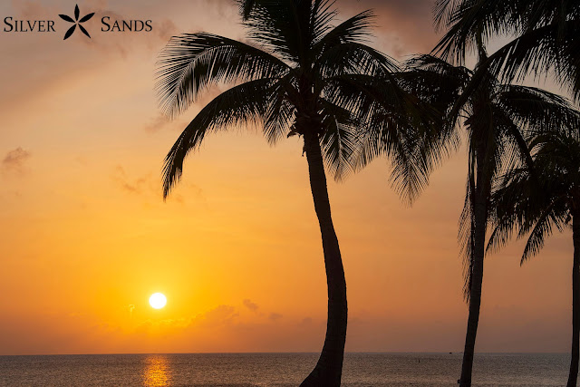 7-mile beach accommodation, 7-mile beach condos, beach vibes, beachsunsets, Cayman Islands Vacation Rentals, cayman staycation, Grand Cayman beach rentals, Silver Sands Condos, heather holt photography