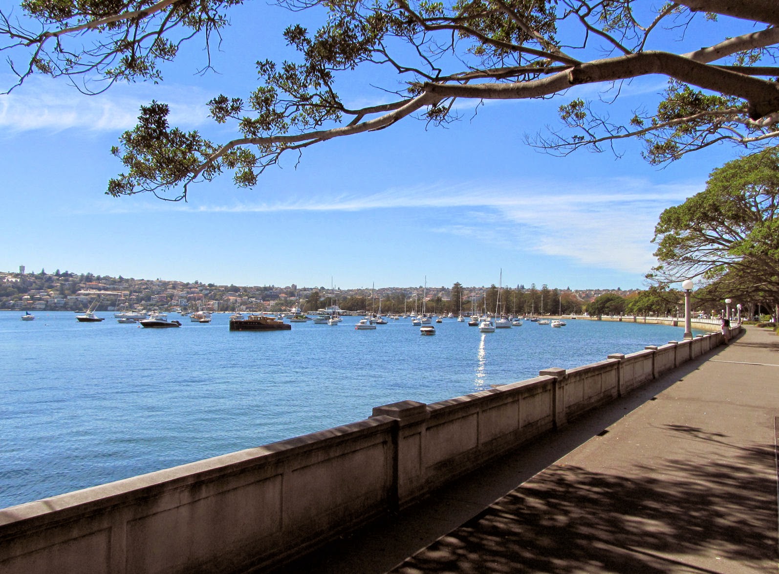 Rose Bay Our Walks