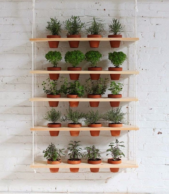 30 Hanging and wall garden ideas for your decor - Diy Fun World