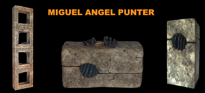 MIGUEL  ANGEL  PUNTER