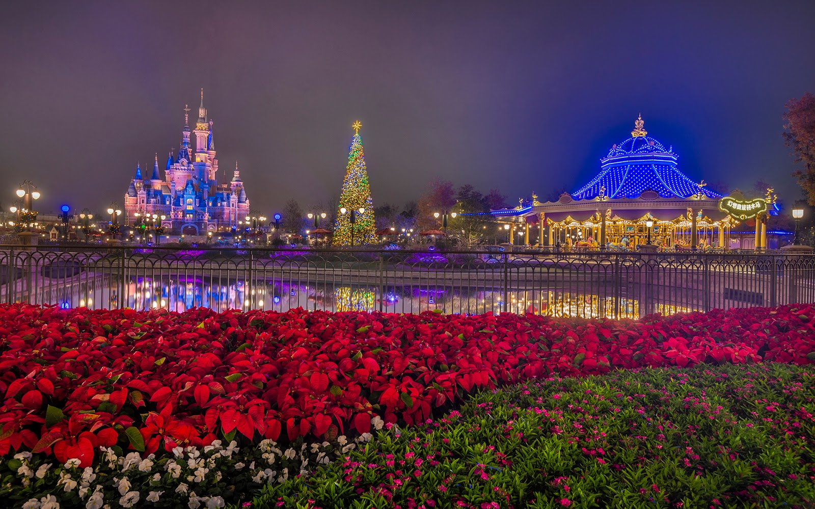 A Christmas Illumination