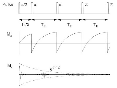 The Carr-Purcell pulse sequence, as shown in Fig. 18.19 of Intermediate Physics for Medicine and Biology.