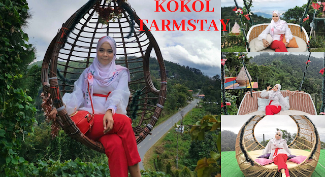 kokol farmstay kota kinabalu sabah