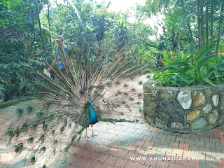 Jalan-Jalan ke Bird Park Kuala Lumpur Jalan-Jalan ke Bird Park Kuala Lumpur