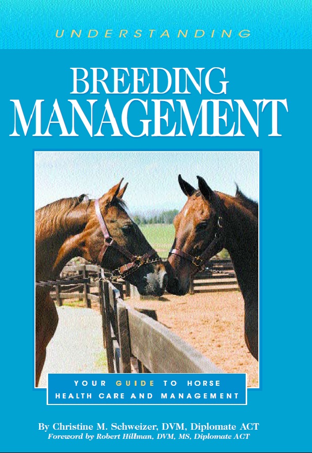 Understanding Breeding Management: Your Guide to Horse Health Care and Management