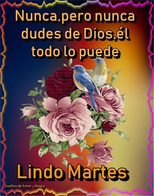 Ver las imágenes de origen