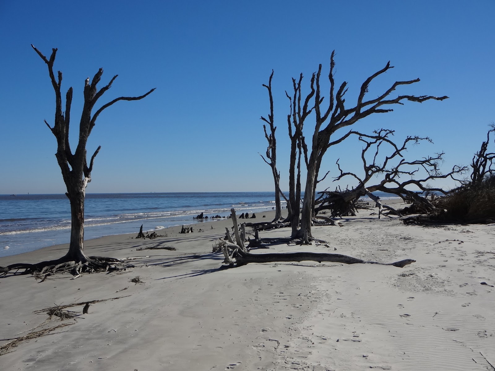 Historic Jekyll Island Shines on Golden Isles The World of Deej