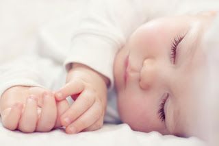 shutterstock 88040917