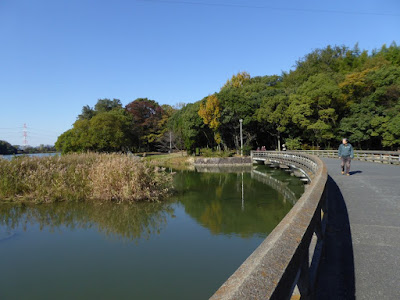 【大阪府枚方市】山田池公園・秋の紅葉ウォーキング