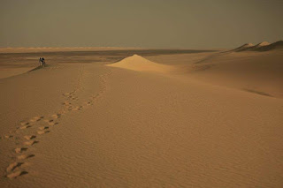 Desert Egypt Travel