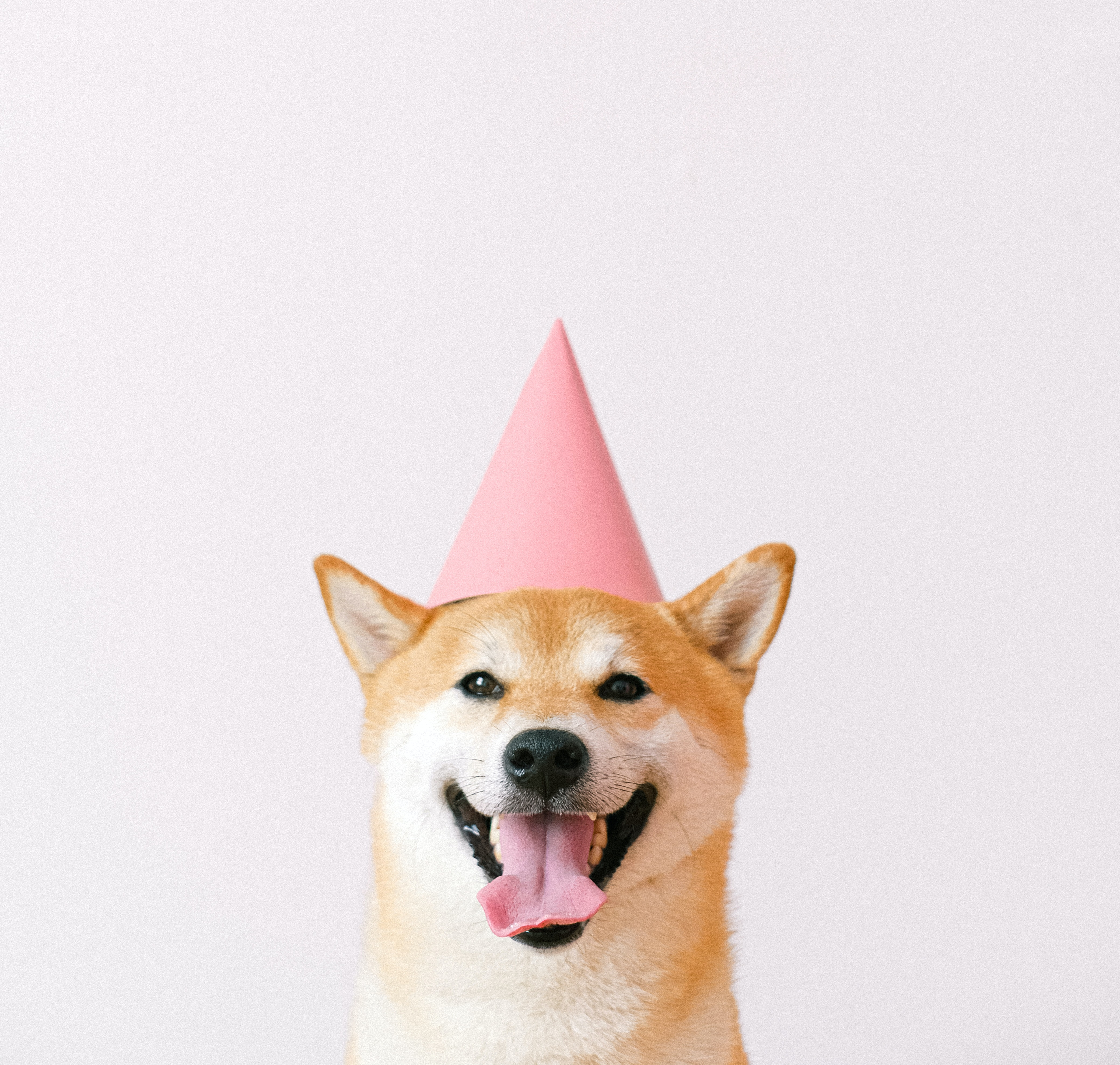 8 jaar bloggen glamview 8 jaar bloggen glamview