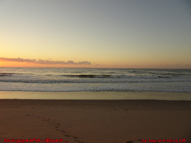 Beautiful East Coastal Beaches