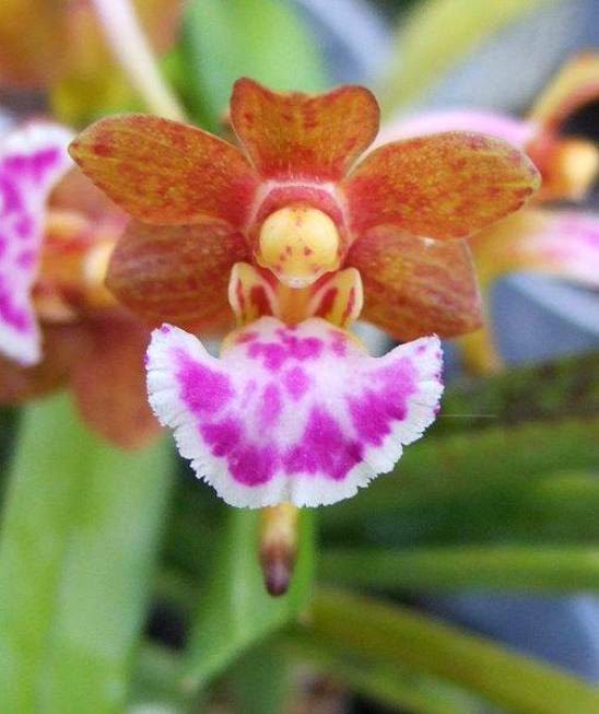 Curiosidades del Mundo: 25 asombrosas curiosidades de 2014 Parte 2.