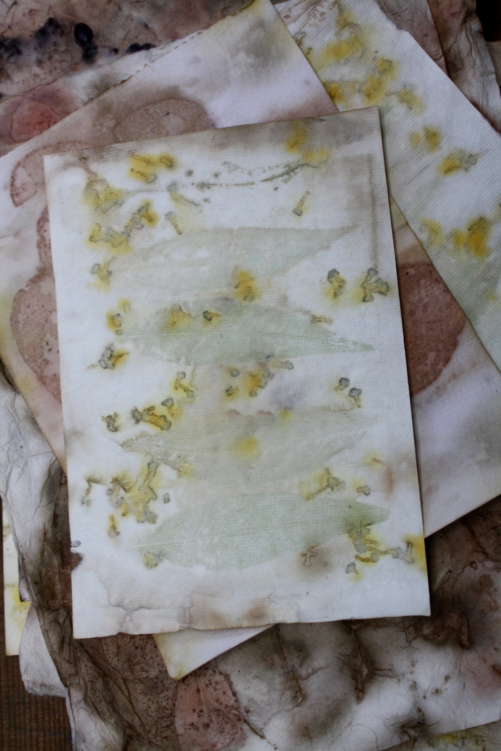 Gina Mastio Eco printing on paper...