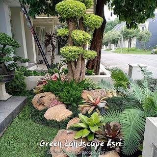tukang taman, jasa taman pembuatan taman, jasa tukang taman, jasa pembuatan taman, tukang taman terdekat, membuat taman minimalis, tukang taman murah, tukang taman kudus, tukang taman pondok indah, buat taman minimalis, tukang taman lebak bulus, membuat taman mini, jasa taman rumah, harga pembuatan taman relief, bikin taman minimalis, jasa vertical garden, tukang kolam ikan koi, jasa pembuatan vertical garden, biaya pembuatan kolam minimalis per meter, tukang tanaman hias terdekat, tukang taman minimalis, tukang taman alam sutera, biaya pembuatan taman dan kolam minimalis, tukang kolam minimalis, biaya pembuatan taman, jasa buat taman, tukang taman vertikal, jasa desain taman, harga pembuatan taman, jasa taman minimalis, buat taman mini, biaya pembuatan kolam ikan minimalis, jasa pembuatan kolam minimalis, harga borongan taman 2020, jasa perawatan taman, harga taman per meter 2019, kontraktor landscape, tukang taman parung panjang, jasa pembuatan kolam ikan minimalis, harga borongan taman per m2, jasa bikin taman, jasa pembuatan taman minimalis, tukang taman vertical garden, harga jasa pembuatan taman per m2, tukang taman profesional, jasa taman vertikal, jasa landscape, tukang kolam koi, harga jasa pembuatan taman, tukang taman landscape, kontraktor taman, tukang taman rumah, tukang taman bsd city, jasa pembuatan taman rumah, landscape taman depan rumah, biaya membuat taman minimalis, jasa taman murah, ahli taman, harga pembuatan taman per m2, harga bikin taman per meter, tukang taman kebon jeruk, pembuatan taman minimalis, pembuatan taman rumah, tukang taman setiabudi, bikin taman mini, harga taman per meter, harga borongan taman 2019, tukang rumput gajah mini, biaya pembuatan taman minimalis, tukang rumput bsd, tukang buat kolam ikan koi, jasa desain taman rumah, jasa bikin kolam koi, jasa tanam rumput, harga jasa desain landscape, tukang bikin kolam ikan koi, jasa pembuatan taman dan kolam ikan, tukang taman martapura, tukang taman citraland, harga buat taman per meter, tukang tanaman hias, jasa kolam ikan minimalis, jasa pasang rumput gajah mini, biaya pembuatan vertical garden, membuat taman vertikal, biaya bikin taman, membuat taman rumah, jasa taman terdekat, jasa tanam rumput gajah mini, tukang rumput taman, jasa pembuatan taman murah, harga pembuatan kolam ikan minimalis, jasa pembuatan kolam ikan koi terdekat, rincian biaya pembuatan taman, jasa pembuatan taman vertikal, tukang taman cilebut, jasa buat taman rumah, tukang taman lenteng agung, tukang taman condet.