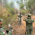 Ejército ayuda a enfrentar incendios forestales en Michoacán