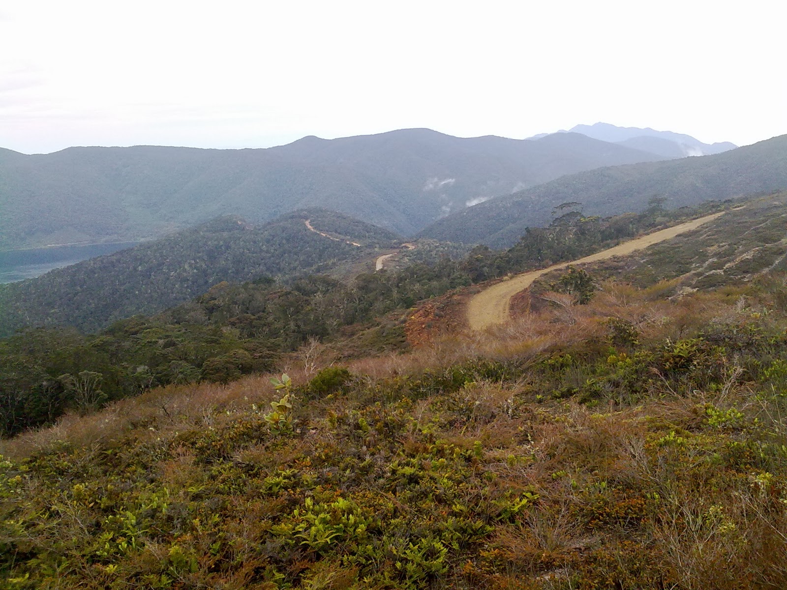 BLAK JOPIE SAIBA: PEGUNUNGAN ARFAK MANOKAWRI CAGAR ALAM PAPUA BARAT