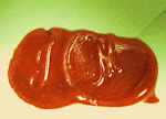 J M in sealing wax