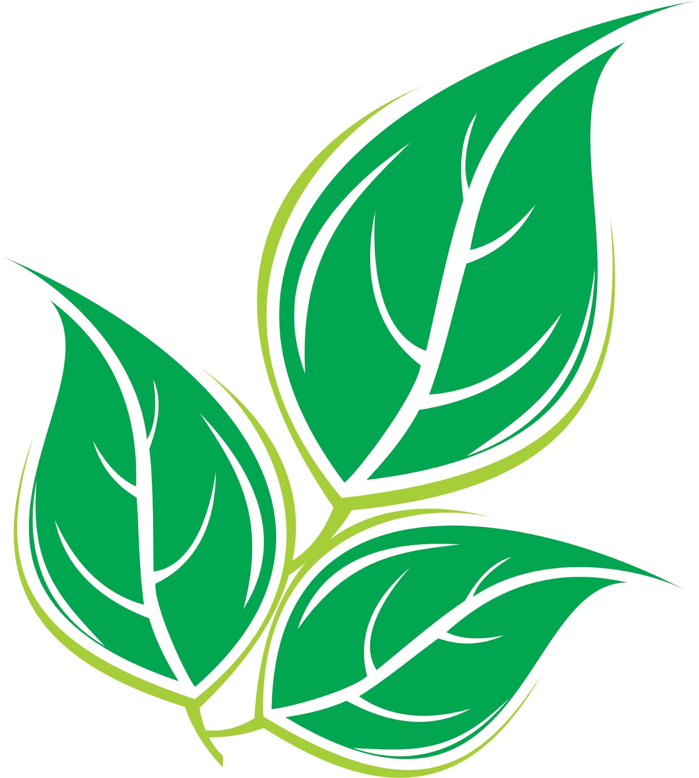 DhevkashaRed: Khasiat Daun Saga
