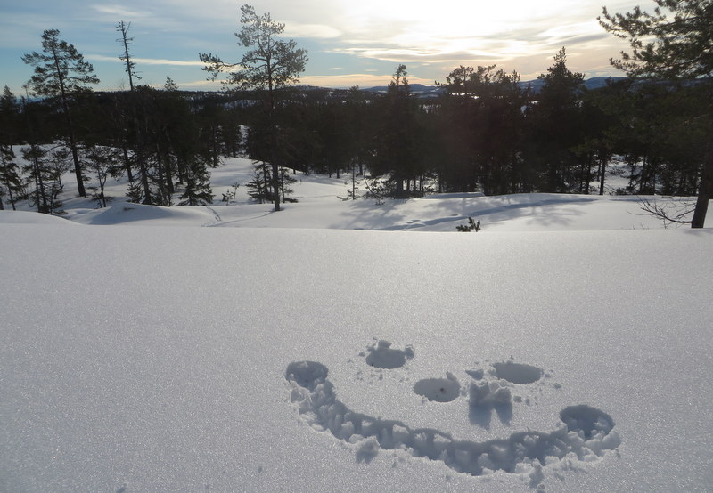 Skuleskogen