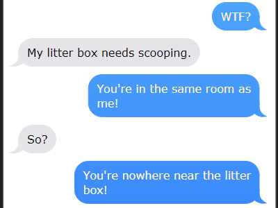 More texting with cats