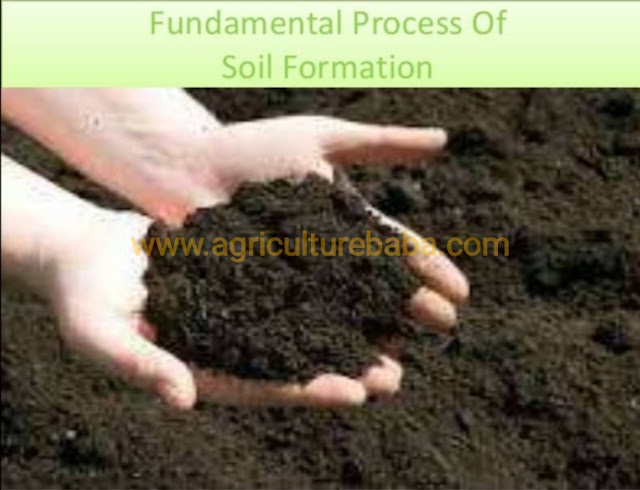 परिपक्व मृदा (MATURE SOIL) https://www.agriculturebaba.com/