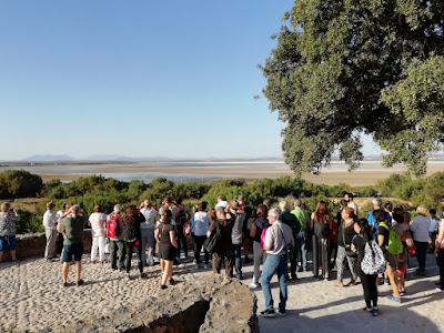 Estepa en la Laguna de Fuente de Piedra.