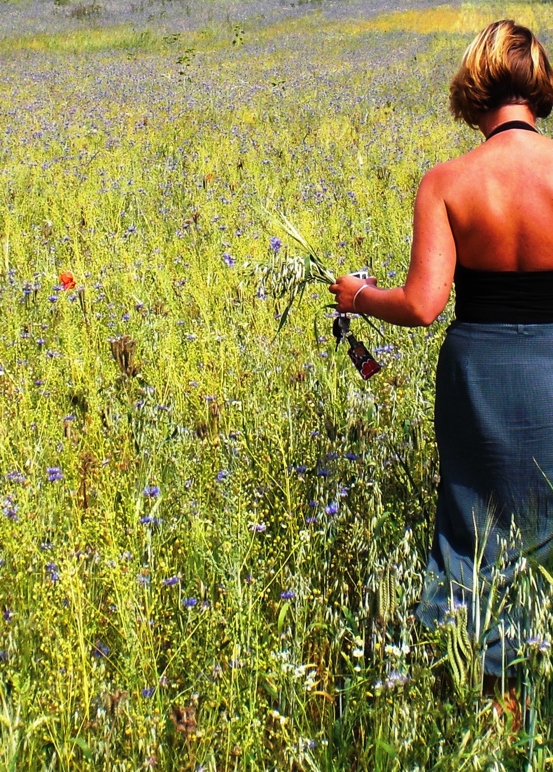 Frl. Maiglückchens Tagebuch: Juni 2011