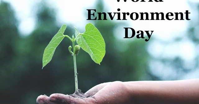 World environment day essay for class 6 picture