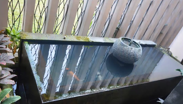 Desain Rumah Minimalis Asri Desain Rumah Minimalis Asri