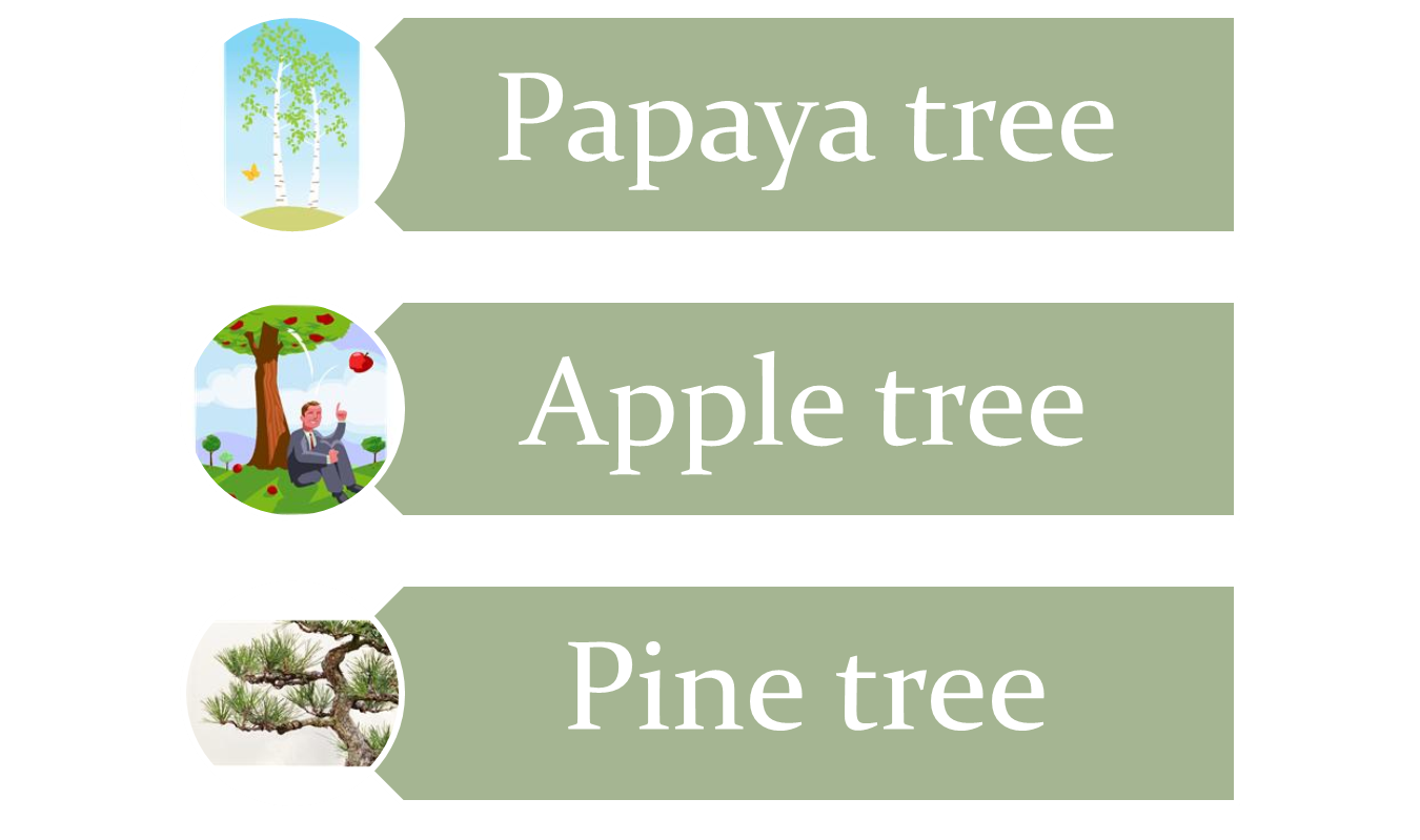 Science Examples Of Woody Stem Plants science-examples-of-woody-stem-plants