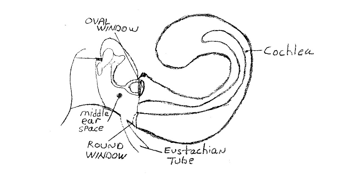 Farr Better SCUBA Instruction Water Lover Barotrauma