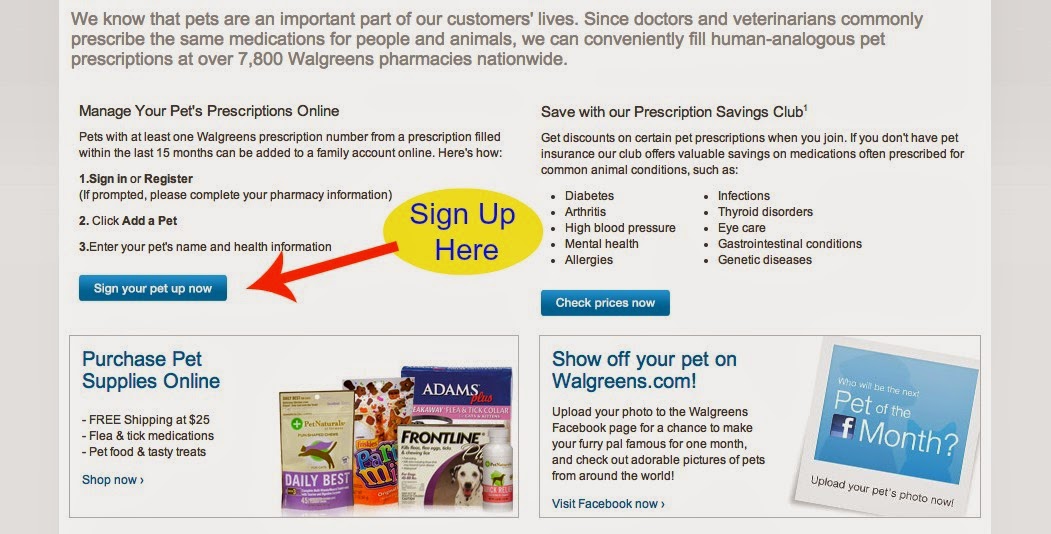 Classical Homemaking Manage Medications for Sick Pets at