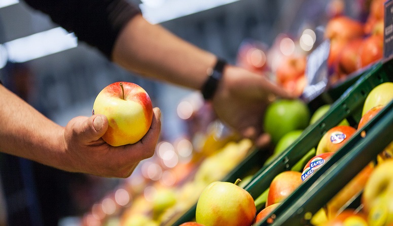 Entender simpático Resonar Alemania un mercado potencial para la exportación de productos  hortofrutícola | DIARIO DEL EXPORTADOR