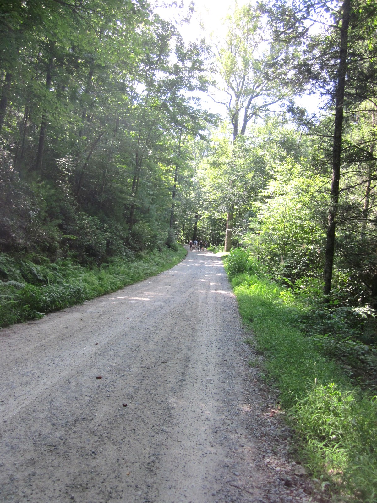 Travel NC With Kids Stone Mountain Loop Trail at Stone Mountain State Park in NC
