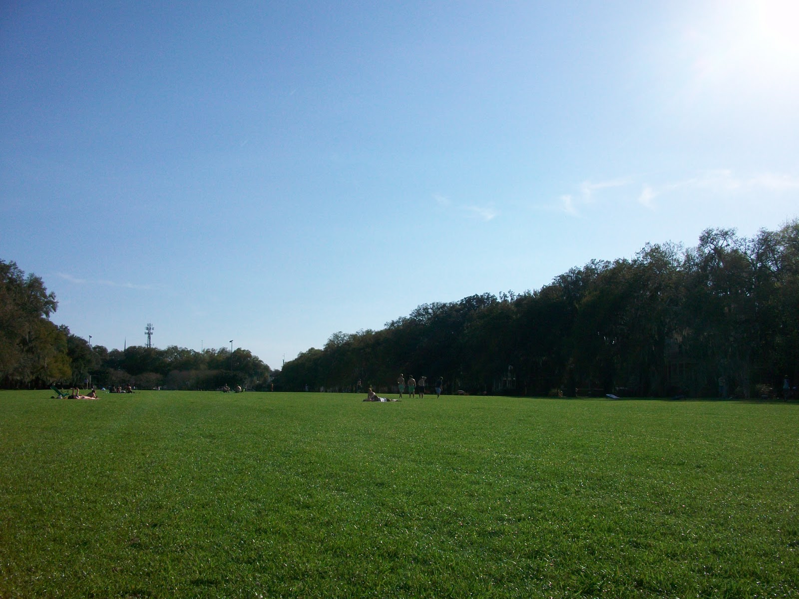 A Profile of Urban Parks: Forsyth Park Savannah GA