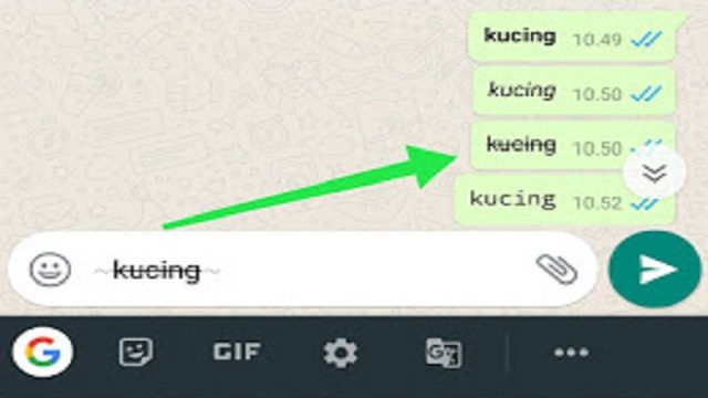 4 tampilan unik pada whatsapp