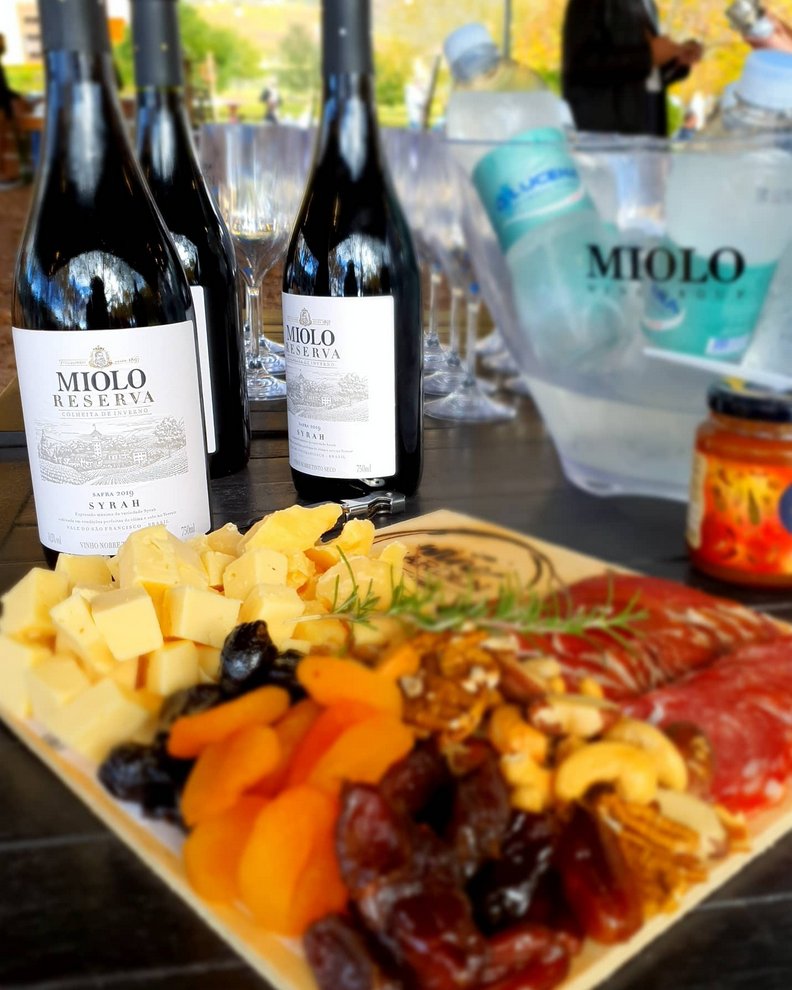 Wine Garden Miolo o jardim do vinho mais charmoso do Vale dos Vinhedos